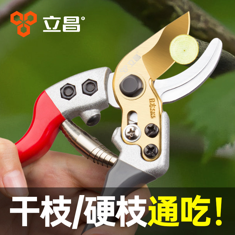 剪树枝专用剪刀果树修枝剪园林枝剪树木剪枝修剪修枝花剪园艺剪刀图片