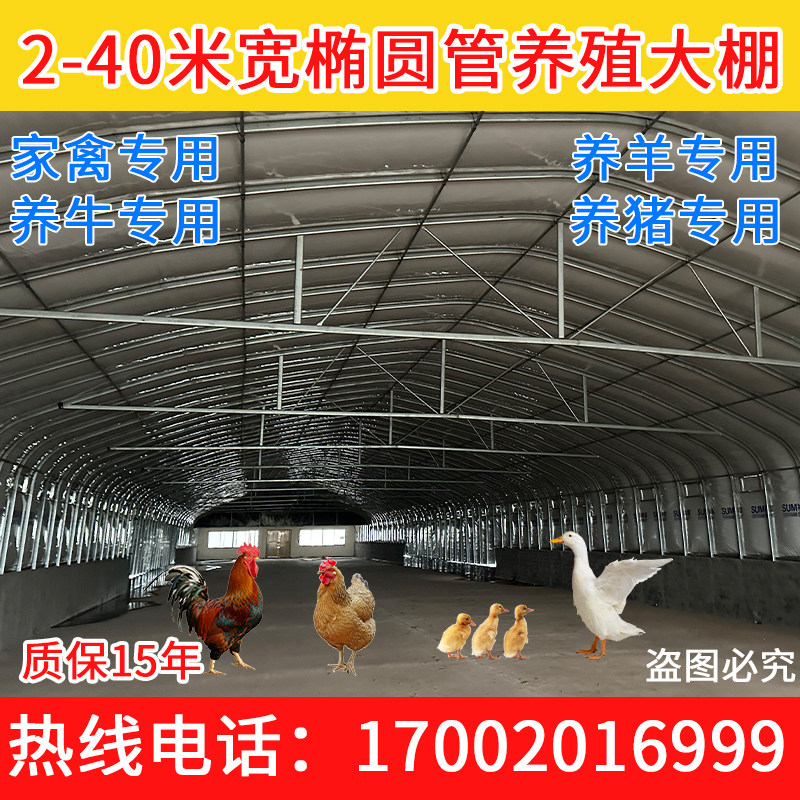 椭圆管养殖大棚养鸡大棚全套养猪牛羊蔬菜种植蘑菇大棚