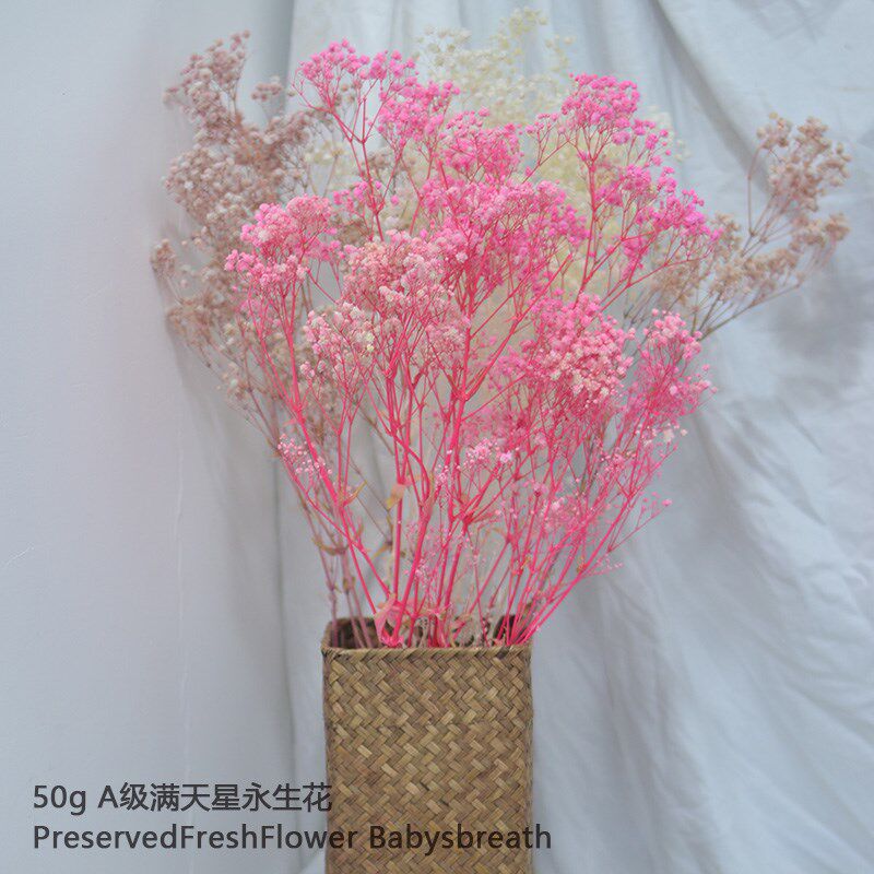 AA级粉色满天星干花包白色永生花长枝混搭客厅桌面装饰花浮游花材
