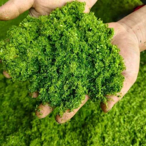 新款超细牧草打浆机干湿两用玉米秸秆粉碎机多功能型养殖鸡鸭鹅猪