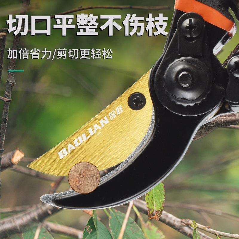 剪刀园艺剪枝修枝剪粗枝剪园林花剪果树修剪树枝专用省力剪切工具图片