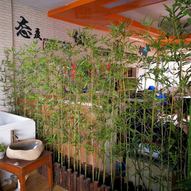 仿真竹子假竹子装饰庭院隔断屏风挡墙造景仿生加密室外绿植毛竹