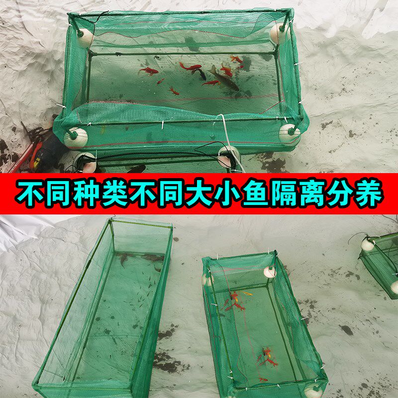 无盖支架撑架防逃泥鳅黄鳝龙虾螃蟹养殖养鱼存鱼鱼苗孵化隔离网箱