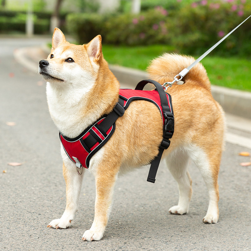 狗牵引绳胸背带遛狗绳背心式狗链子中型犬大型犬牵狗绳狗绳子用品