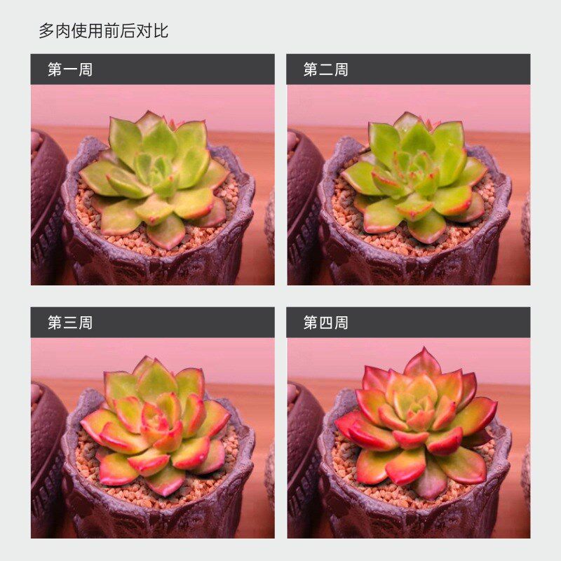 全光谱植物生长灯室内LED多肉补光灯大棚温室种植火龙果蔬菜育苗