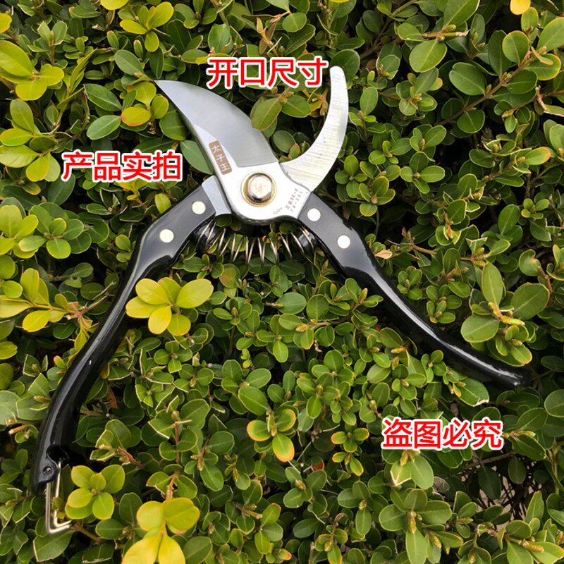 太子王修枝剪果枝剪刀园艺剪刀果树剪苗圃剪果剪进口刀片带配件