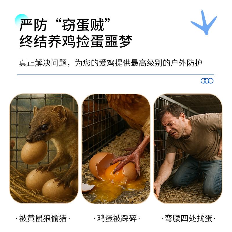 鸡笼子家用室外大号农村蛋鸡养殖场专用新型室内自动清粪防黄鼠狼