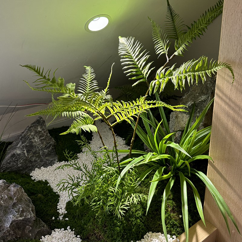 仿真绿枫树鸡爪槭枯山水盆景假树落地摆件茶室室内绿植造景装饰