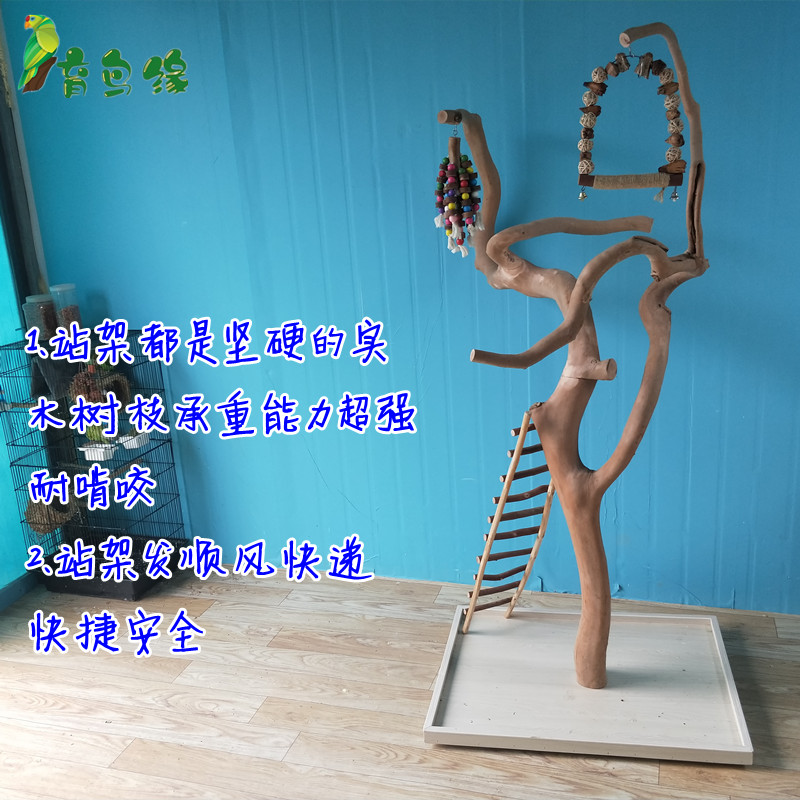 鹦鹉站架自然树枝站棍落地实木游戏架玄凤牡丹虎站杠秋千宠物站架