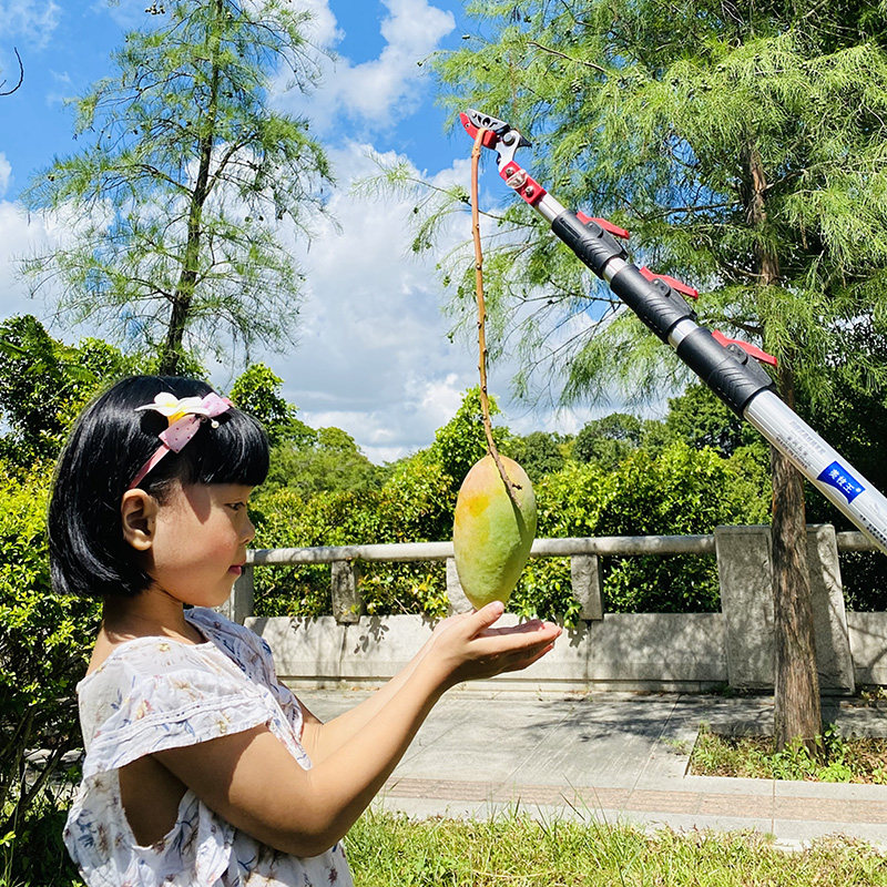 摘果剪高枝剪摘柚子果树采柿子5.5米龙眼修枝伸缩高空加长摘果器