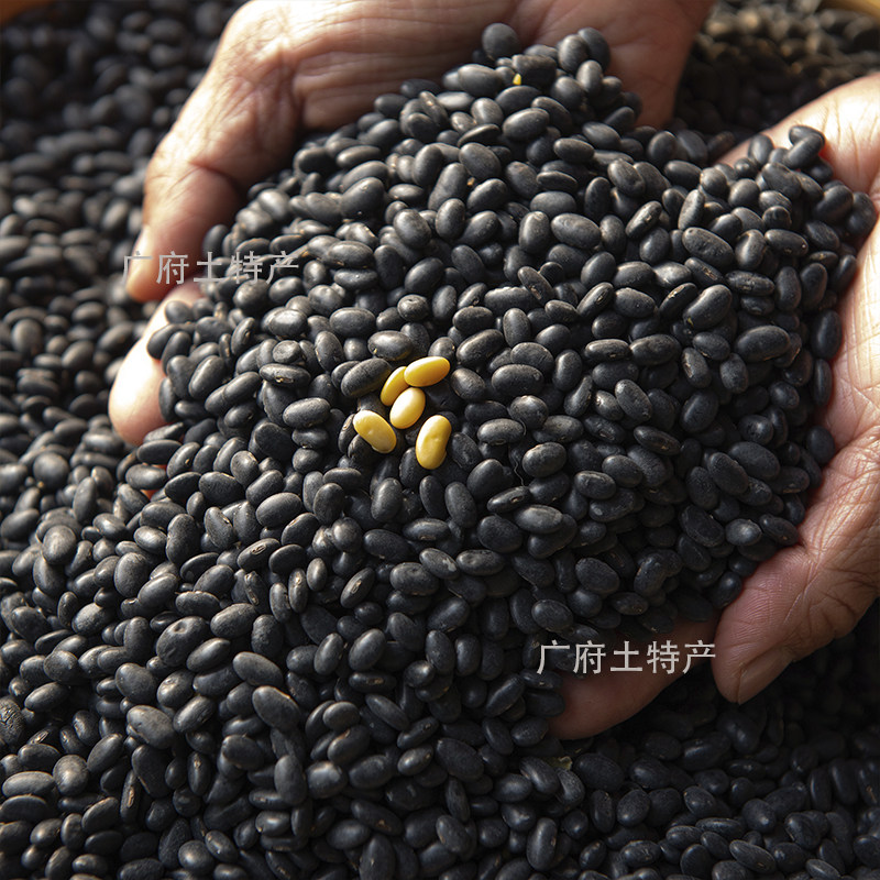 粤北农家自种肾形黑豆老品种打豆浆黄心原味黑豆非转基因新货杂粮