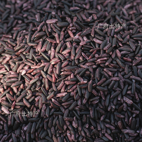 粤北农家紫米新米紫糯米煮粥蒸饭