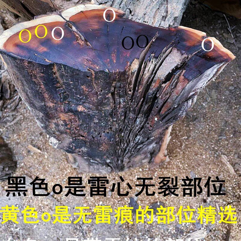 雷击枣木手串佛珠男女文玩手链珠子念珠自然雷劈木雷击桃木雷心料