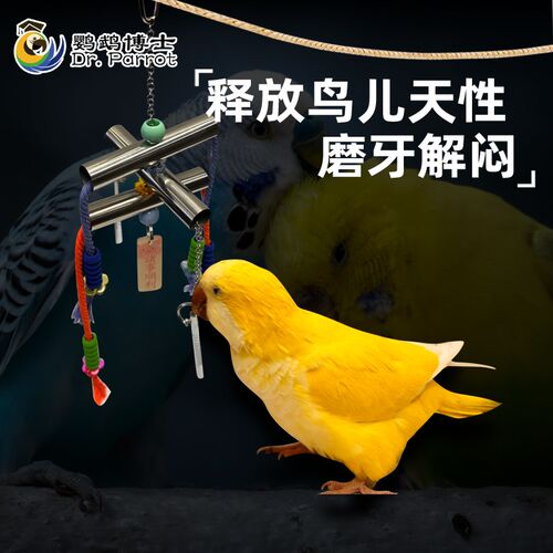 鹦鹉不锈钢彩辫子啃咬玩具鸟用品娱乐解压解闷开发智力鸟磨嘴磨牙