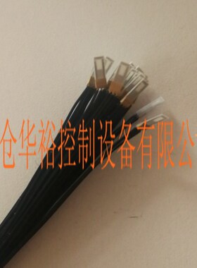 风速传感器  FS5    流量传感器 FS5.0.L195     风速传感器
