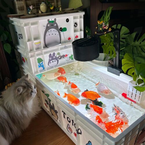 鱼箱一体过滤兰寿泰狮鱼箱生态龟箱养鱼缸养鱼专用