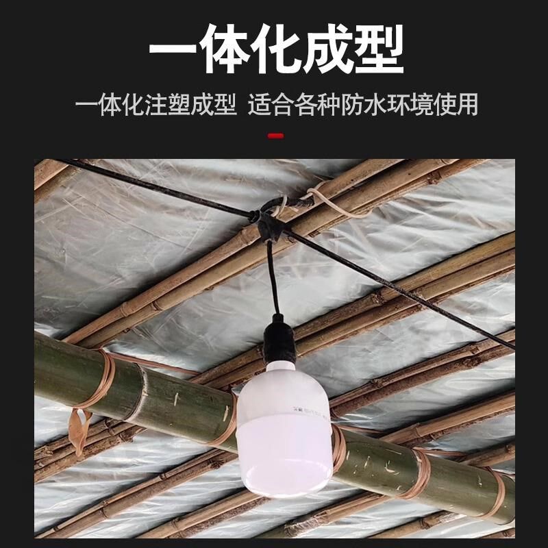 鸡鸭舍照明灯线户外养殖灯串防水大棚一体灯头线商场婚庆灯笼线