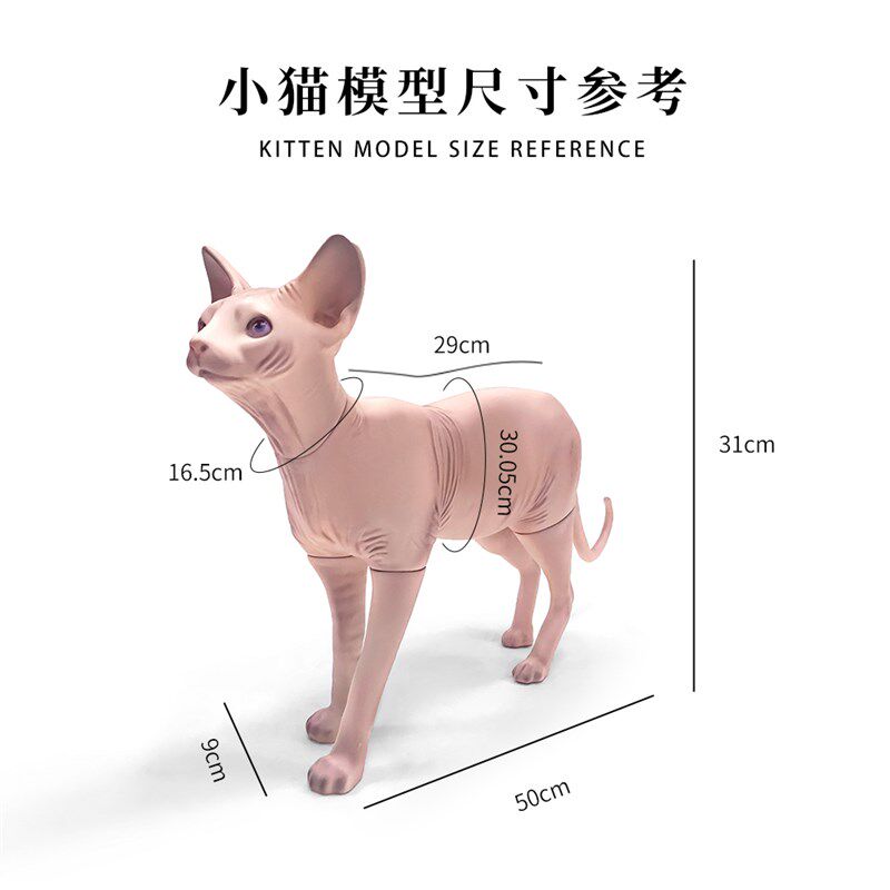 无毛猫模型可拆宠物道具猫狗衣服拍摄展示衣架模特斯芬克斯猫摆件