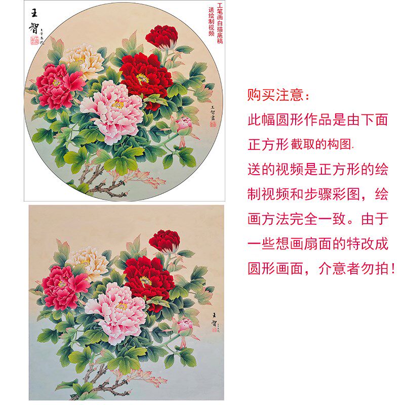 工笔画底稿白描画稿国画白描底稿临摹手勾可直接上色大幅斗方牡丹