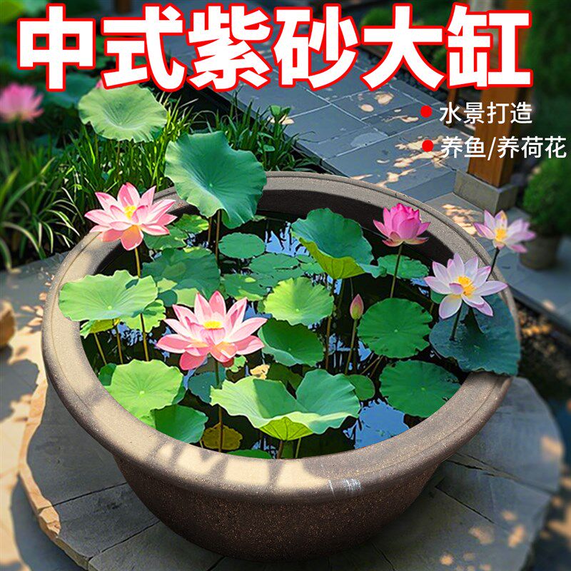 1米特大养荷花睡莲紫砂养鱼缸花盆户外庭院盆景水培栽绿植物种树