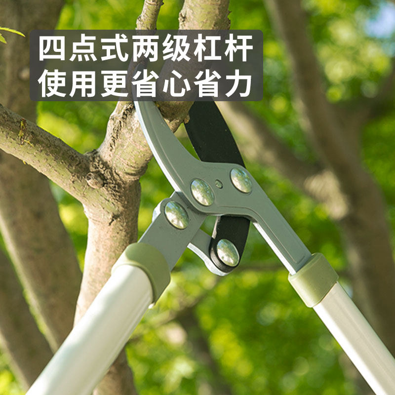 沃施worth园艺豪华专业伸缩粗枝剪园林高枝剪果园树枝大力剪刀