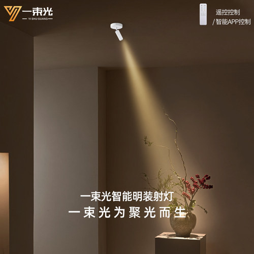 一束光聚光射灯智能调光明装茶室摆件绿植字画小角度超窄光玄关灯