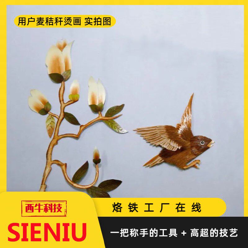 西牛麦秸秆烫画塑料维修烫印熨斗型烙画高温熨烫烫100W调温电烙铁