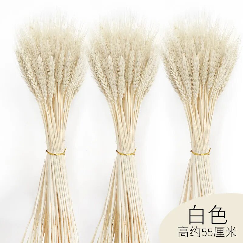 天然麦穗干花花束开业大麦田园装饰礼品拍摄道具干花真花麦子包邮