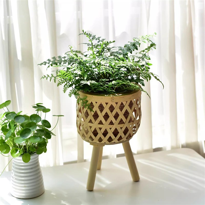 竹编花篮北欧客厅阳台绿萝绿植装饰落地木制花架平安蕨霸王蕨花盆