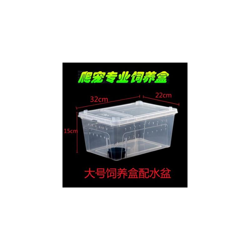 宠物饲养盒爬宠饲养箱蜘蛛蜈蚣蜈蚣角蛙饲养盒爬虫饲养盒爬虫盒