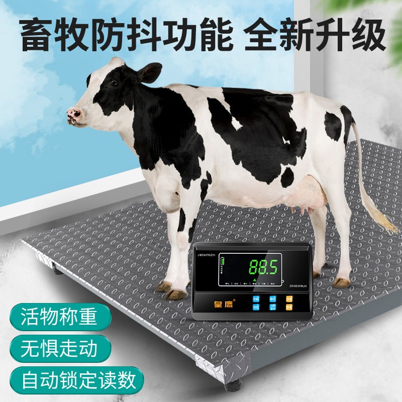 可打印地磅秤热敏打印地磅3吨加厚地磅物流电子秤工厂地磅称2吨