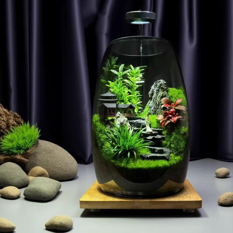 步步高升桌面苔藓微景观生态瓶黑神话悟空盆栽创意摆件办公室植物