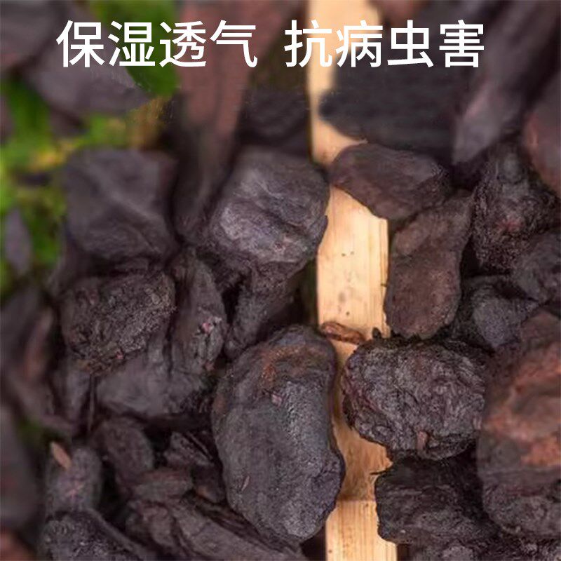 花土月季使用栽培君子兰花铁皮石斛新西兰腐熟松鳞大颗粒松树皮