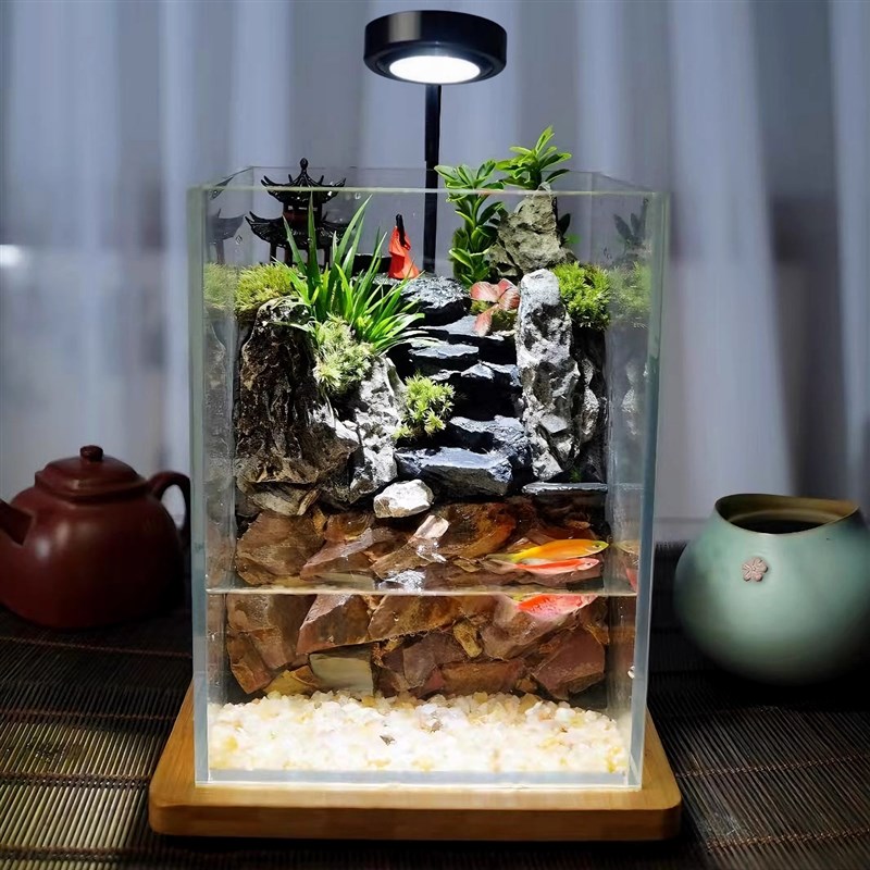 苔藓微景观生态缸造景植物玻璃瓶桌面摆件森林全套雨林生态养鱼缸