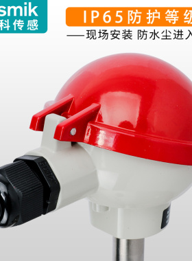 WRNK-131/230/191铠装热电偶K型WZPK热电阻工业温度传感器316L