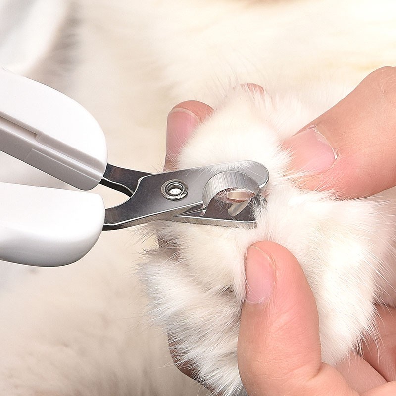 派可为猫用指甲剪指甲刀幼猫甲剪新手专用猫爪指甲钳猫咪宠物用品