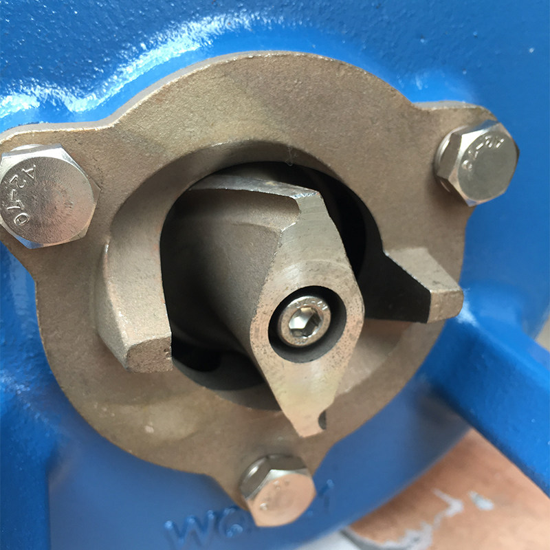 大元切割污水泵卫生间生活工业废水化粪池养猪鸡场排污220V/380V