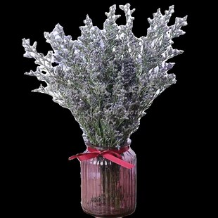 云南勿忘我情人草干花花束鲜花真花家庭家居装饰摆设插花花卉礼物
