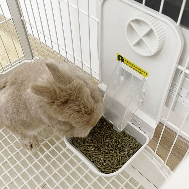 兔子自动定时喂食器宠物智能定量猫咪狗狗兔粮悬挂自动喂食投食器
