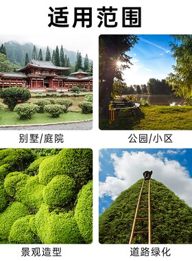 锐尔锂电高枝剪绿化园林高空剪果树省力绿篱修剪机充电式高空修剪
