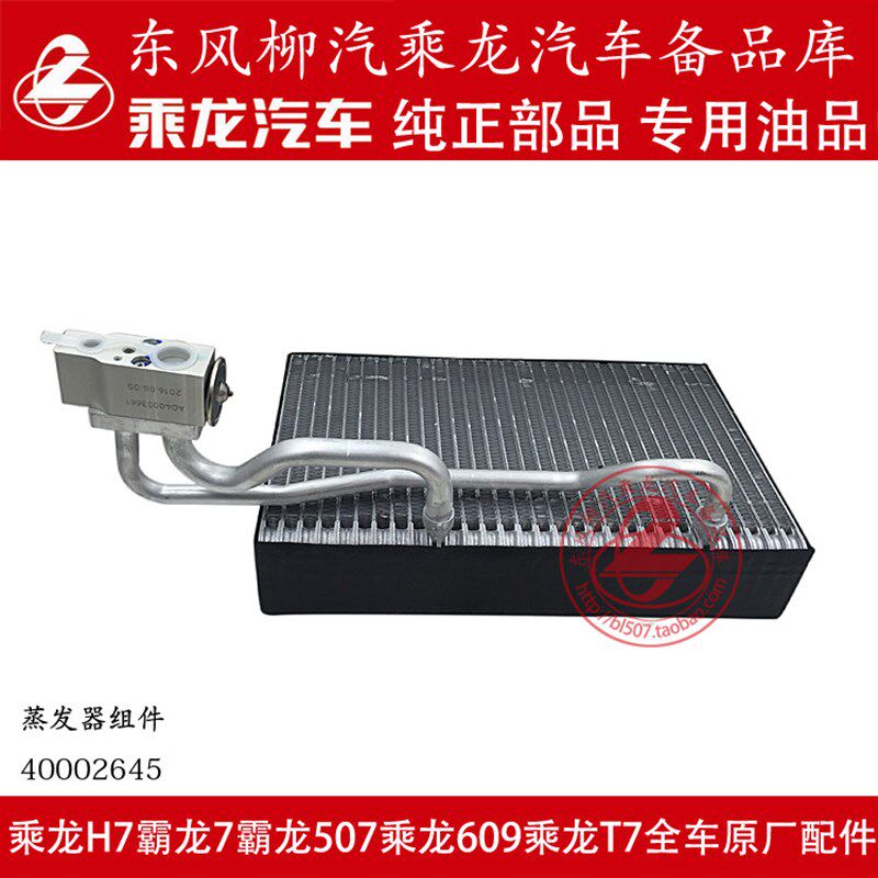 柳汽原厂件霸龙507乘龙609空调蒸发器带膨胀阀组件A040002645