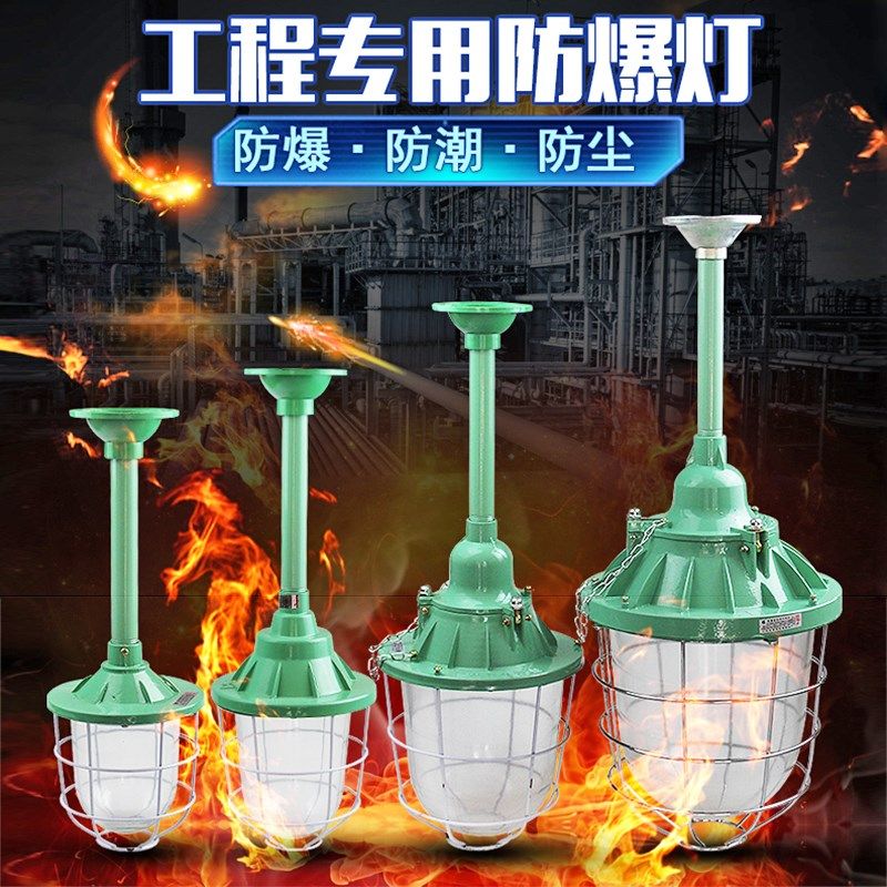 新黎明LED防爆灯防爆灯罩防尘灯车间厂房仓库加油站防爆照明吊灯