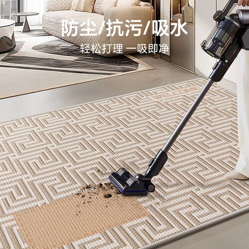 轻奢高级感入户门地垫家用防滑耐脏进门地垫可定制脚踏垫玄关地毯