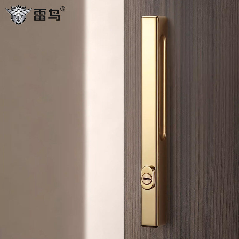 雷鸟隐形门锁背景墙隐藏门把手室内卧室简约磁吸双面金色门锁锁具