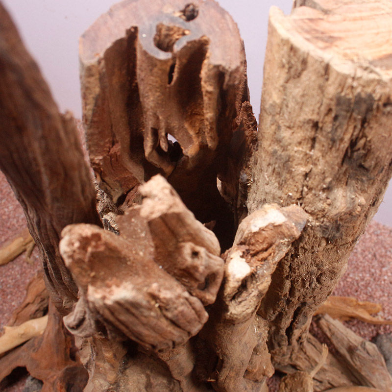 鱼缸生命之树造景大型1.2米树桩沉木骨架定制草缸内饰莫斯树景装