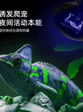 新派WACOOL玩酷爬宠夜间加热灯UVA夜灯陆龟蛇鬃狮蜥蜴保温灯泡