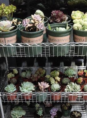 多肉花架花盆架子法师玉露架子多层花架落地盆景花架子阳台室内架