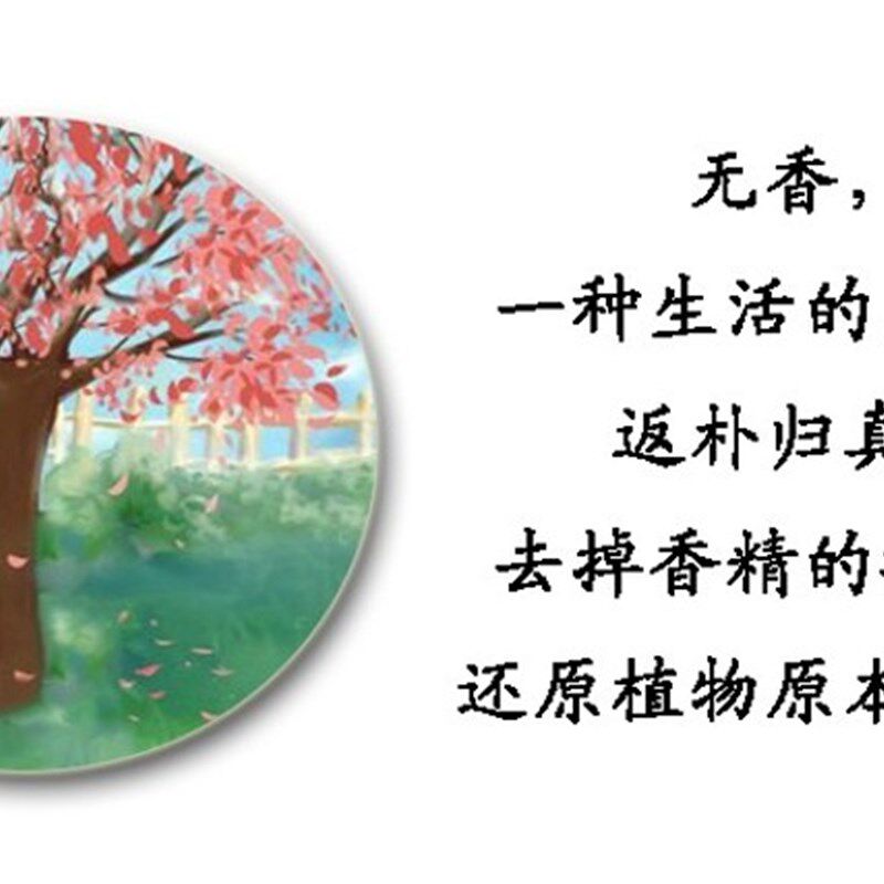 无香味无硅油免洗茶油护发弹力营养素烫卷碎发防毛躁保湿定型男女