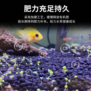 森森水草泥鱼缸水草缸造景陶粒砂免冲洗底砂套餐造景积肥种水草