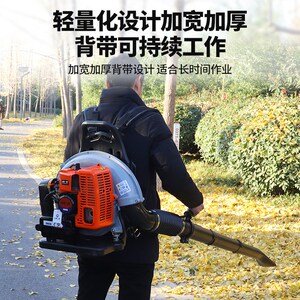 背负式汽油大功率吹雪机落叶清理环卫吹风机森林消防灭火鼓风机